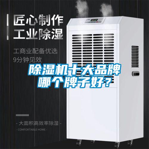除濕機十大品牌哪個牌子好？