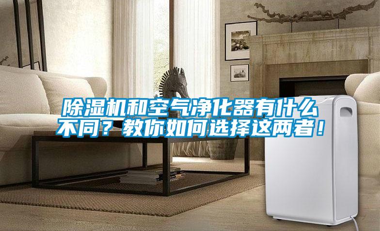 除濕機和空氣凈化器有什么不同？教你如何選擇這兩者！