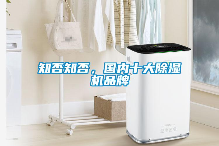 知否知否，國內十大除濕機品牌