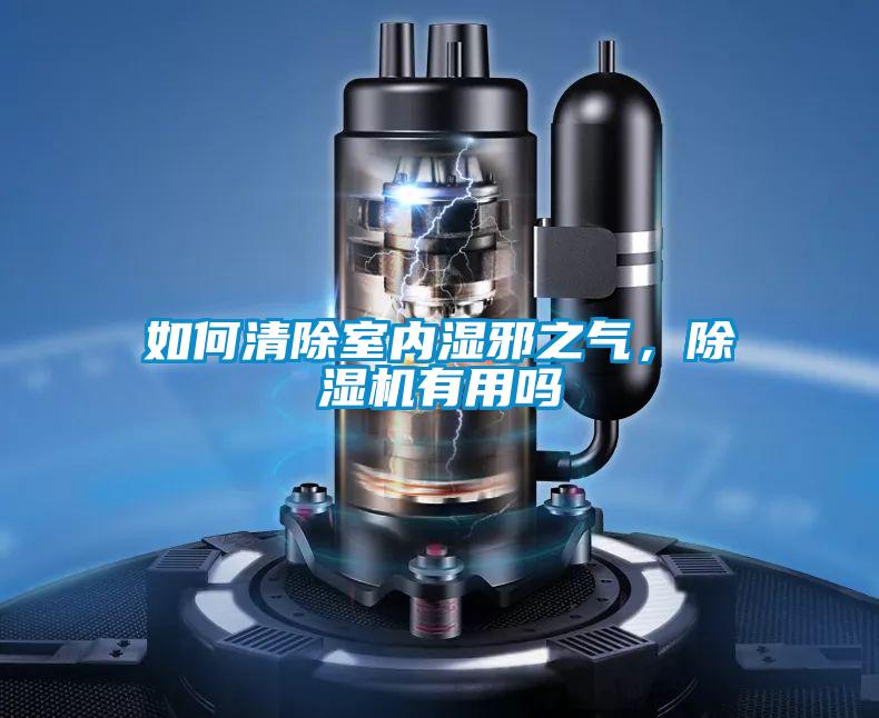 如何清除室內濕邪之氣，除濕機有用嗎