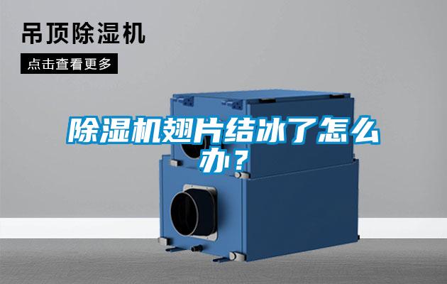 除濕機翅片結(jié)冰了怎么辦？