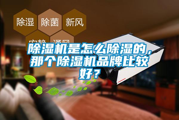 除濕機(jī)是怎么除濕的，那個(gè)除濕機(jī)品牌比較好？