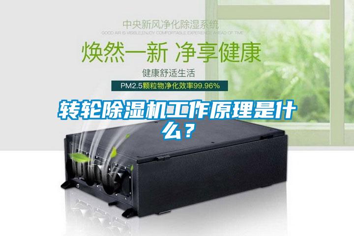 轉(zhuǎn)輪除濕機(jī)工作原理是什么？