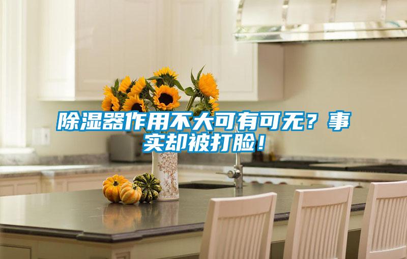 除濕器作用不大可有可無？事實(shí)卻被打臉！