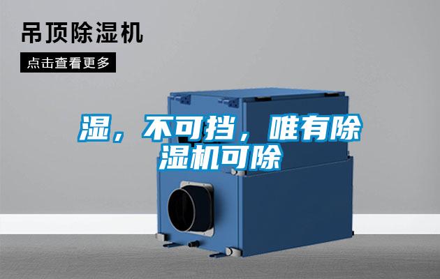 濕，不可擋，唯有除濕機(jī)可除