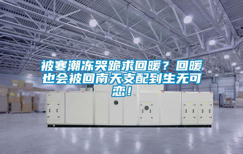 被寒潮凍哭跪求回暖？回暖也會被回南天支配到生無可戀！