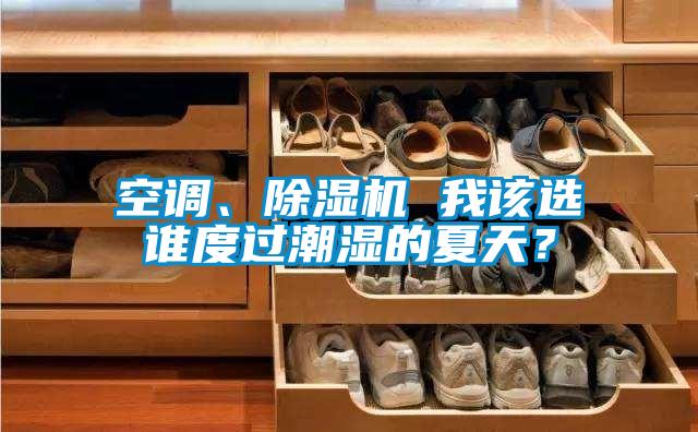 空調(diào)、除濕機(jī) 我該選誰度過潮濕的夏天？