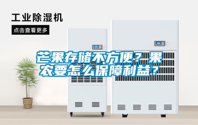 芒果存儲不方便？果農(nóng)要怎么保障利益？