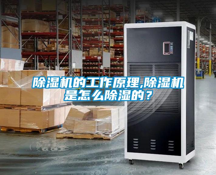 除濕機的工作原理,除濕機是怎么除濕的？