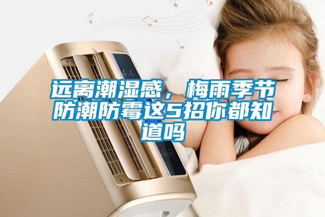 遠(yuǎn)離潮濕感，梅雨季節(jié)防潮防霉這5招你都知道嗎