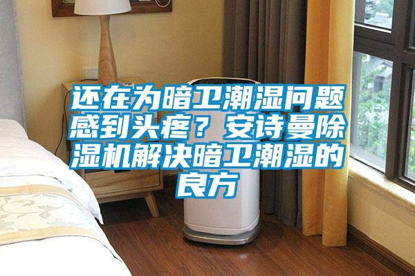 還在為暗衛(wèi)潮濕問題感到頭疼？安詩曼除濕機(jī)解決暗衛(wèi)潮濕的良方
