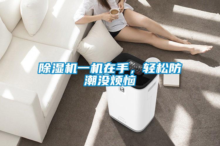 除濕機一機在手，輕松防潮沒煩惱