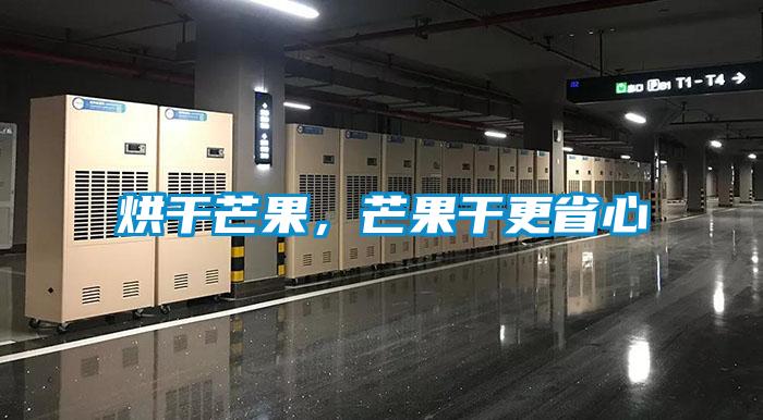 烘干芒果，芒果干更省心