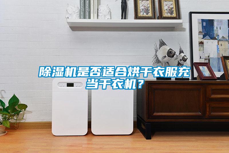 除濕機(jī)是否適合烘干衣服充當(dāng)干衣機(jī)？