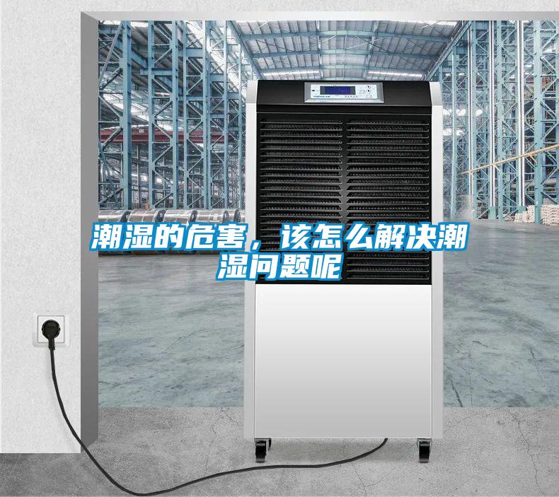 潮濕的危害，該怎么解決潮濕問題呢