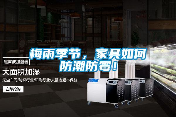 梅雨季節(jié)，家具如何防潮防霉！