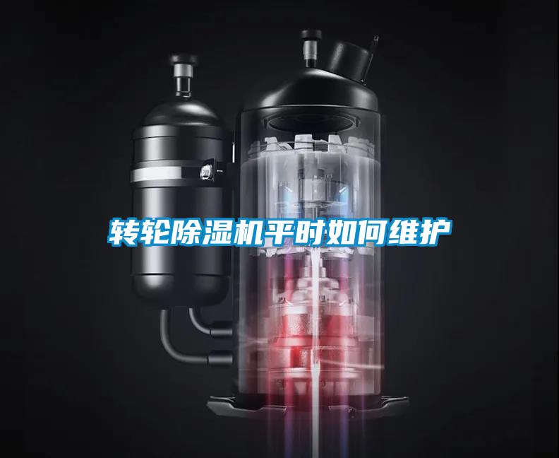轉(zhuǎn)輪除濕機(jī)平時如何維護(hù)