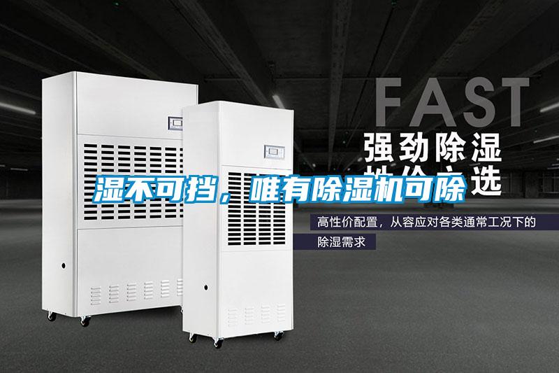 濕不可擋，唯有除濕機(jī)可除