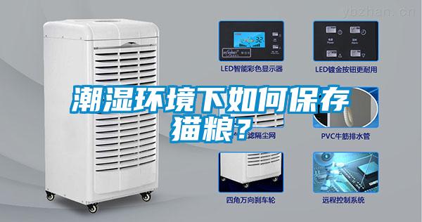 潮濕環(huán)境下如何保存貓糧？