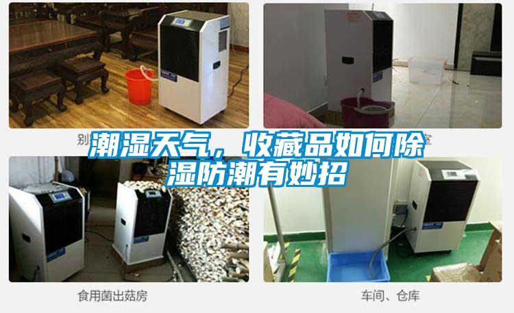 潮濕天氣，收藏品如何除濕防潮有妙招