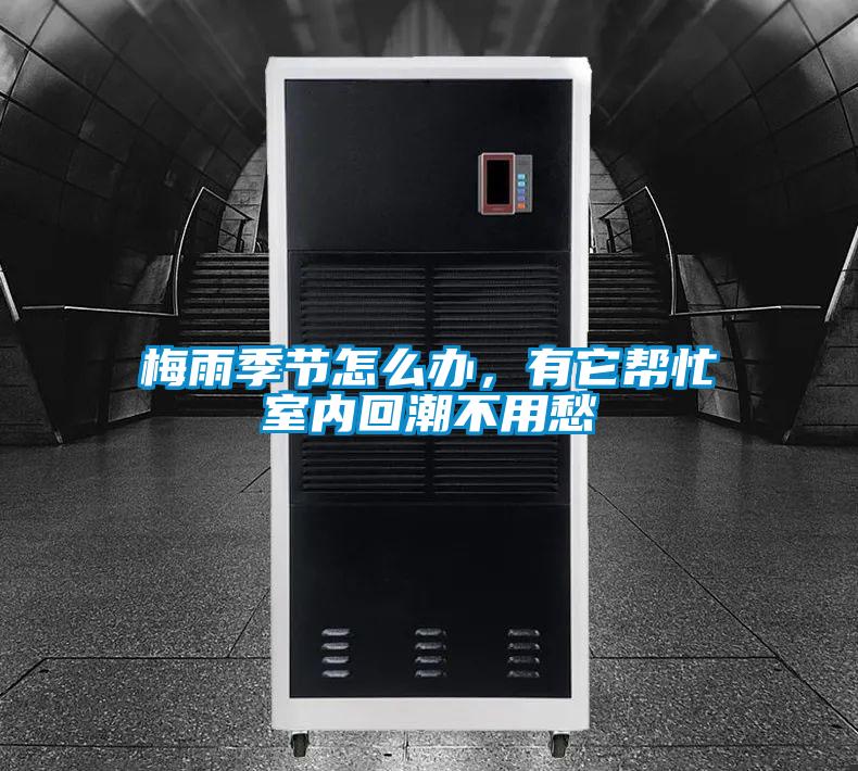 梅雨季節(jié)怎么辦，有它幫忙室內(nèi)回潮不用愁