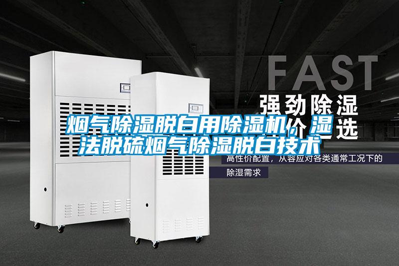 煙氣除濕脫白用除濕機(jī)，濕法脫硫煙氣除濕脫白技術(shù)