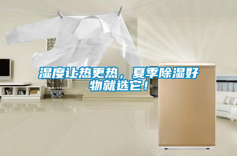 濕度讓熱更熱，夏季除濕好物就選它！