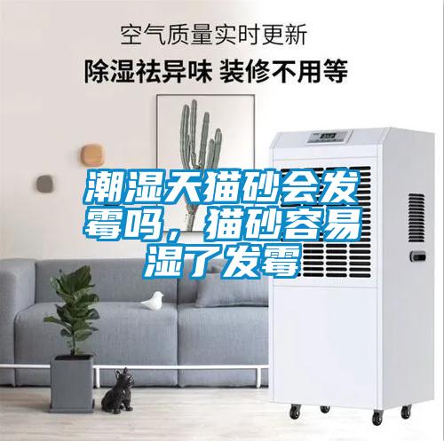 潮濕天貓砂會(huì)發(fā)霉嗎，貓砂容易濕了發(fā)霉
