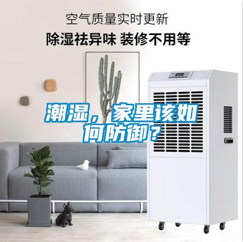 潮濕，家里該如何防御？