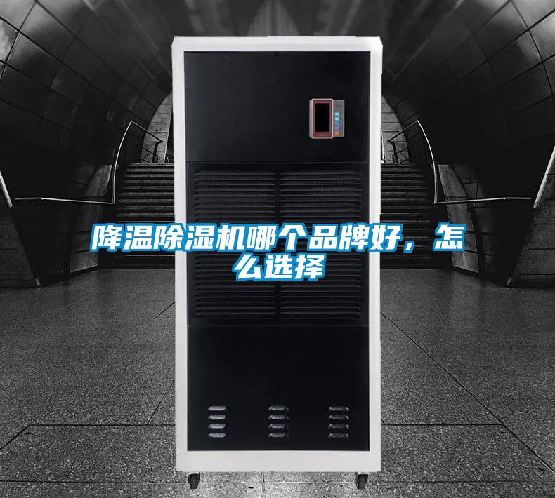 降溫除濕機(jī)哪個(gè)品牌好，怎么選擇