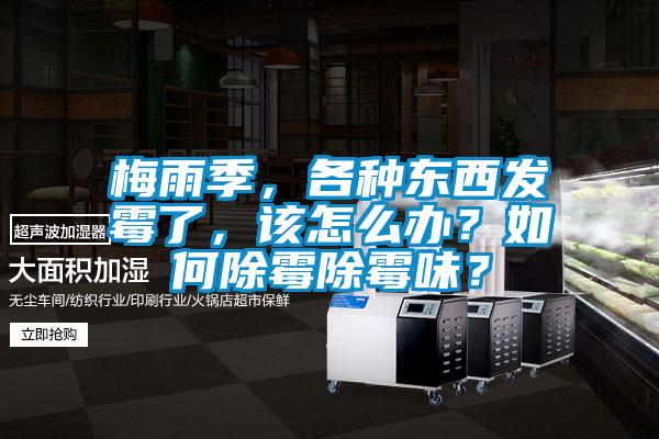 梅雨季，各種東西發(fā)霉了，該怎么辦？如何除霉除霉味？