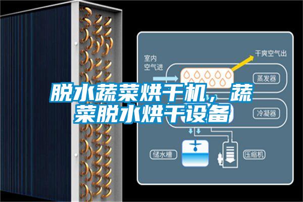 脫水蔬菜烘干機(jī)，蔬菜脫水烘干設(shè)備