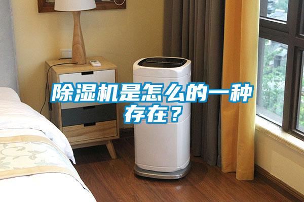 除濕機(jī)是怎么的一種存在？
