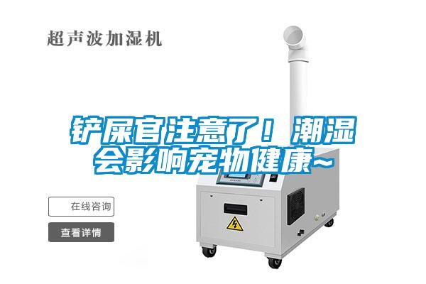 鏟屎官注意了！潮濕會影響寵物健康~