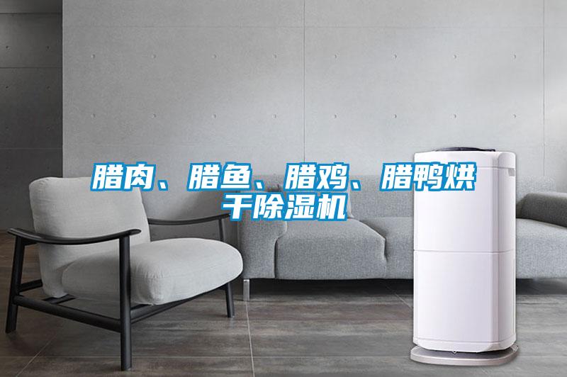 臘肉、臘魚、臘雞、臘鴨烘干除濕機(jī)