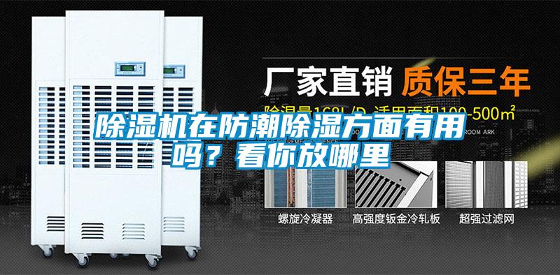 除濕機(jī)在防潮除濕方面有用嗎？看你放哪里