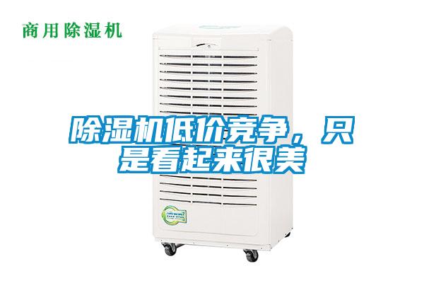 除濕機(jī)低價(jià)競(jìng)爭(zhēng)，只是看起來很美