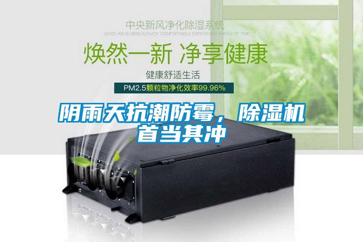 陰雨天抗潮防霉，除濕機首當其沖