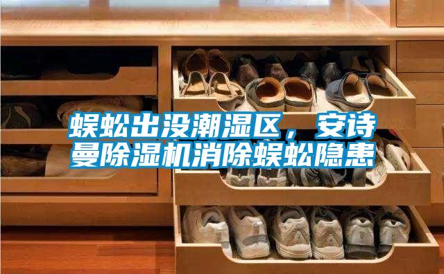 蜈蚣出沒潮濕區(qū)，安詩曼除濕機(jī)消除蜈蚣隱患