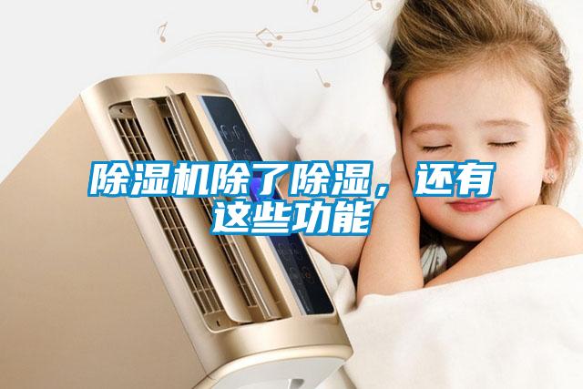 除濕機(jī)除了除濕，還有這些功能