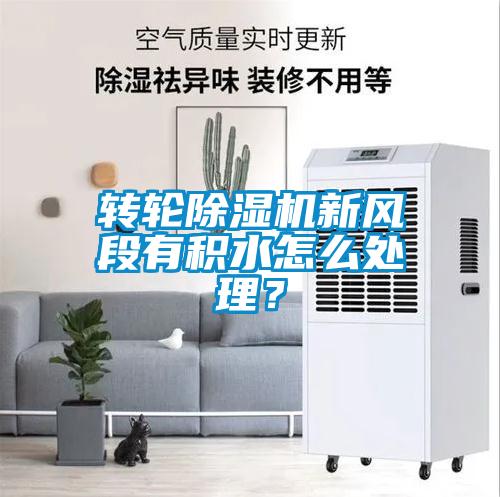 轉(zhuǎn)輪除濕機(jī)新風(fēng)段有積水怎么處理?
