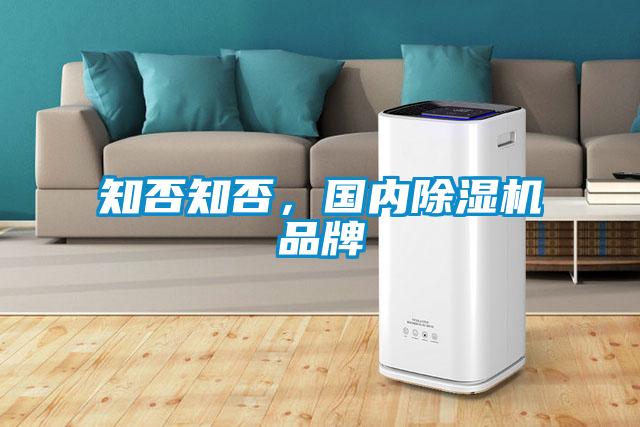 知否知否，國內(nèi)除濕機品牌