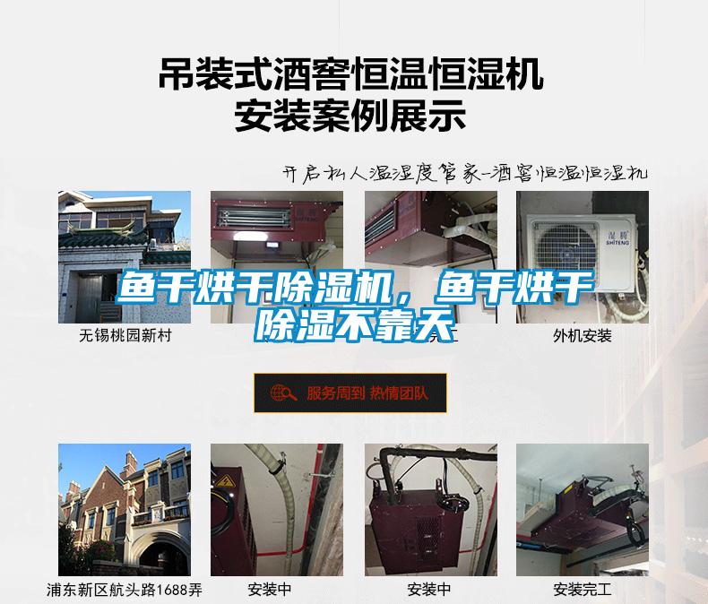 魚干烘干除濕機，魚干烘干除濕不靠天
