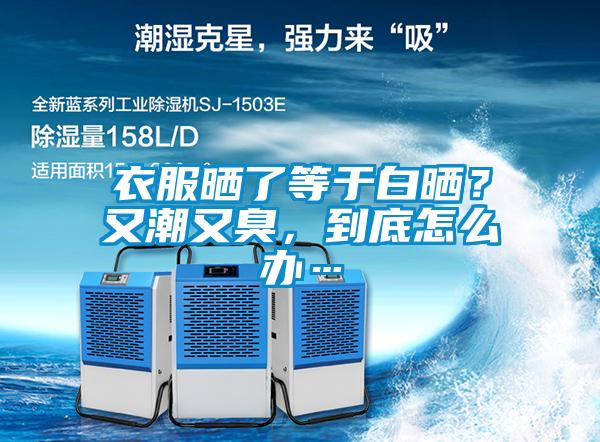 衣服曬了等于白曬？又潮又臭，到底怎么辦…