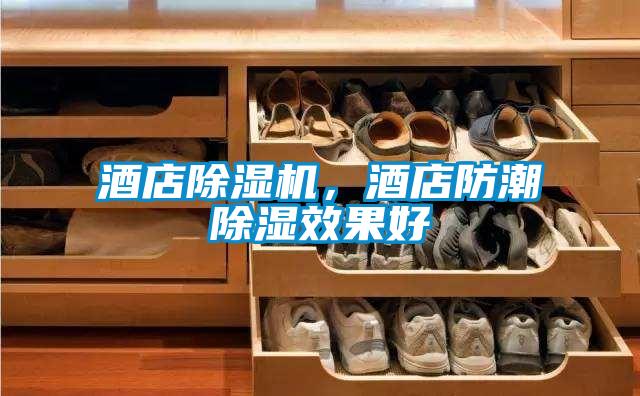 酒店除濕機，酒店防潮除濕效果好