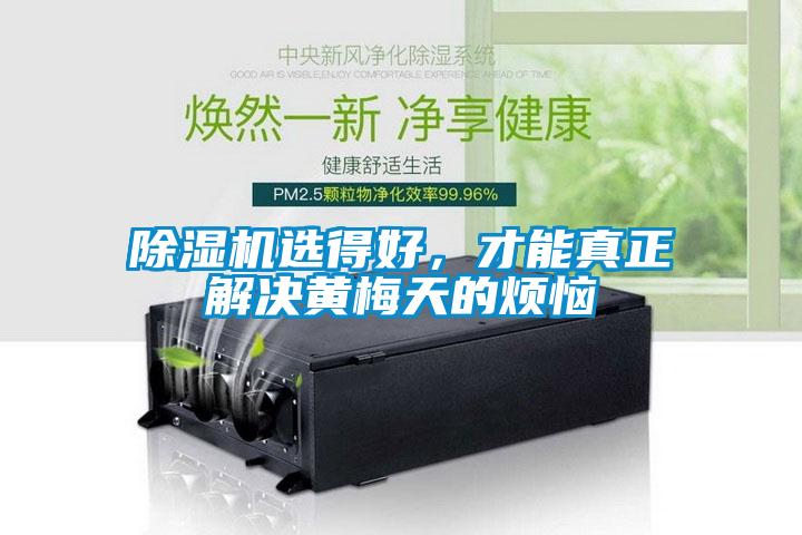 除濕機選得好，才能真正解決黃梅天的煩惱