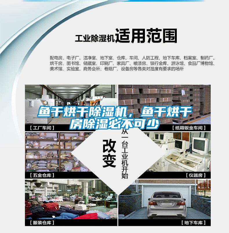 魚干烘干除濕機(jī)，魚干烘干房除濕必不可少