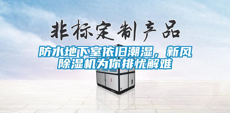 防水地下室依舊潮濕，新風(fēng)除濕機(jī)為你排憂解難