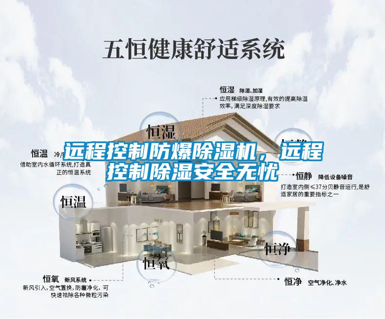 遠(yuǎn)程控制防爆除濕機(jī)，遠(yuǎn)程控制除濕安全無憂