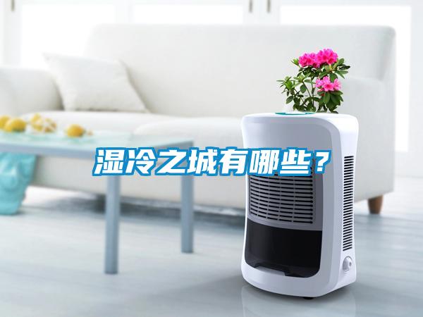 濕冷之城有哪些？